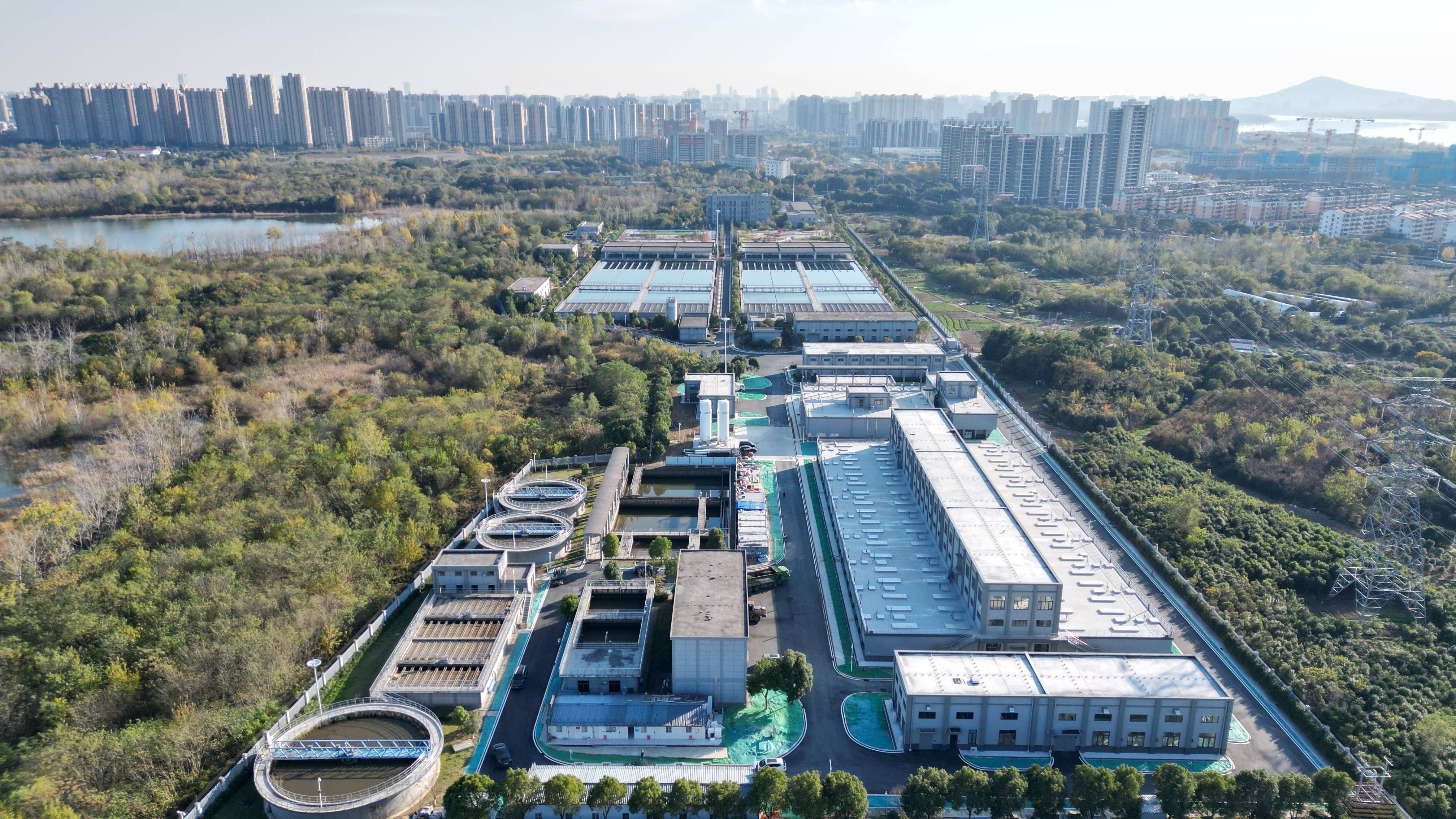 晋城市合肥专业企业价值增长(合肥市重点企业产业目录)